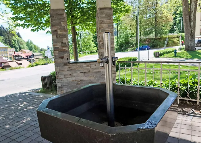 Belvedere-7 By Interhome Apartmán Janské Lázně